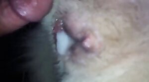 intercourse,wild